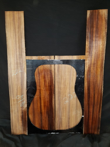 tasmanian blackwood guitar