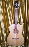 Dreadnought Guitar [click to view larger]